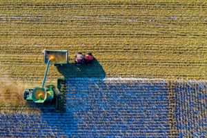 A tractor harvesting grain and pouring it into the bin driving beside it.